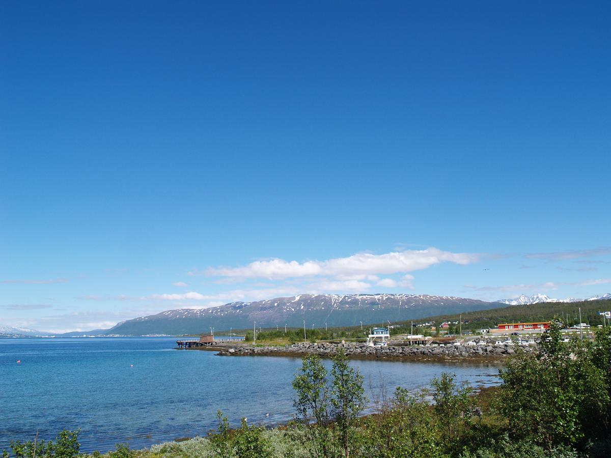 Vikran Vacation: Sea Fishing And Northern Lights 외부 사진