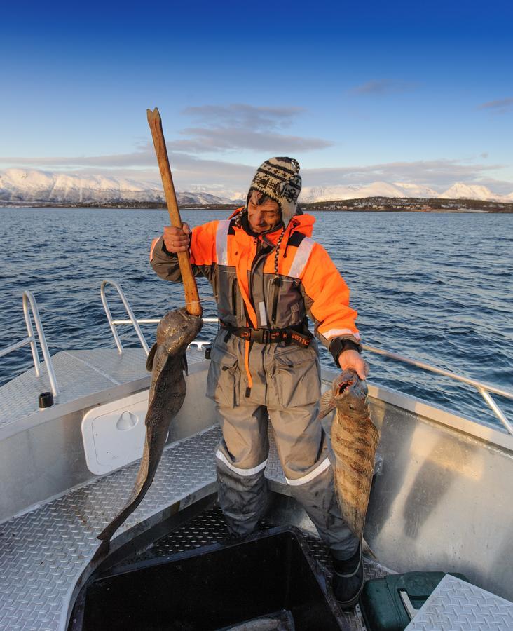 Vikran Vacation: Sea Fishing And Northern Lights 외부 사진