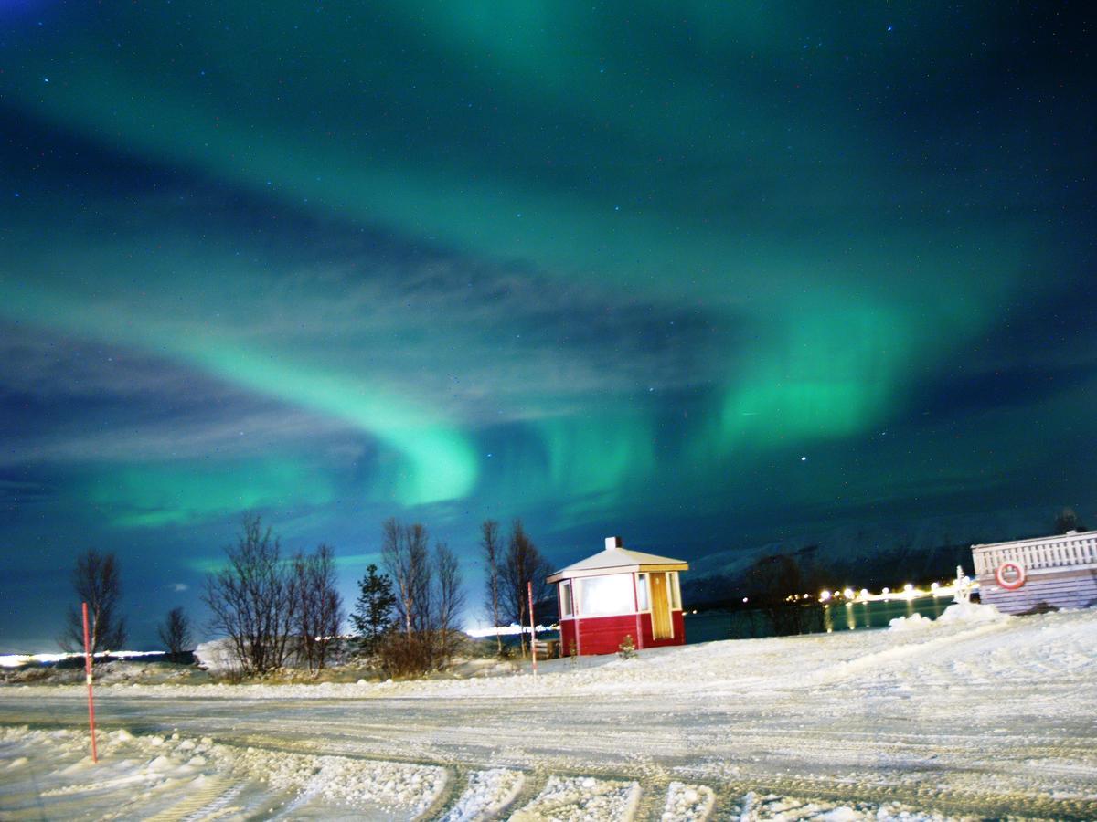 Vikran Vacation: Sea Fishing And Northern Lights 외부 사진