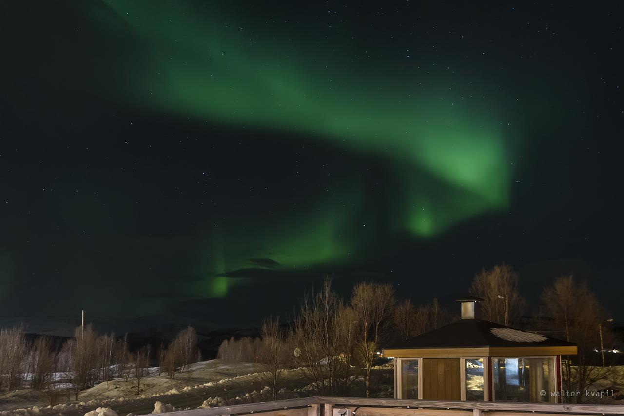 Vikran Vacation: Sea Fishing And Northern Lights 외부 사진